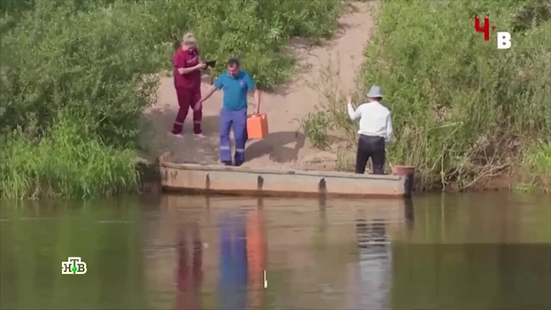 Проект выжившие телеграм