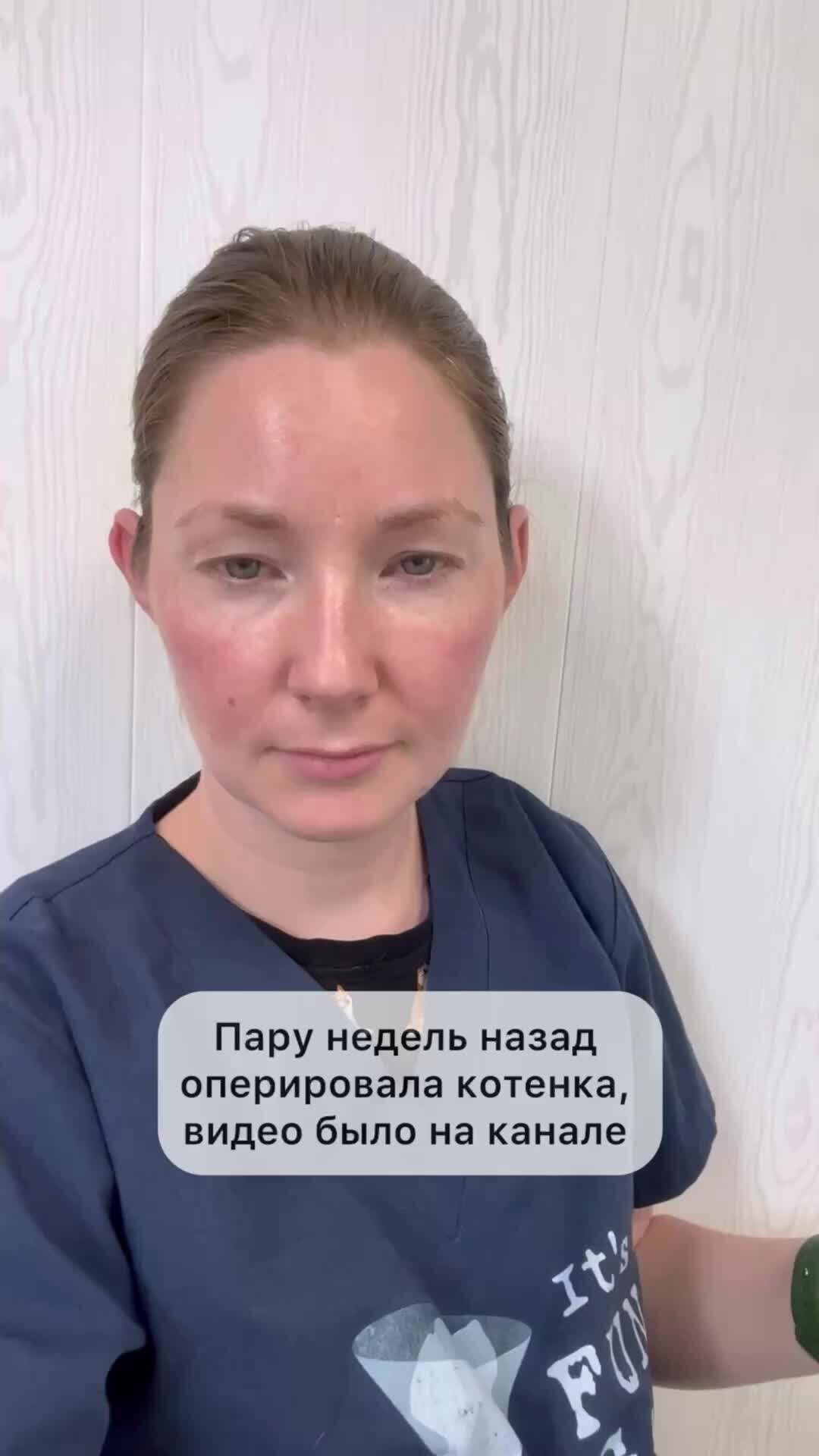 Зверополис. Ольга Шильцова | Котенок пришел на снятие швов после удаления глазного яблока | Дзен