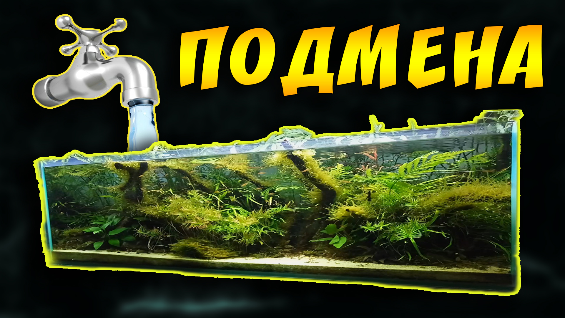 подмены в аквариуме. рыбы в аквариуме. емкость для отстаивания воды для аквариума. рыбы в аквариуме. прозрачная вода в аквариуме.
