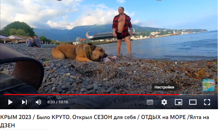 ялта на дзен последнее видео