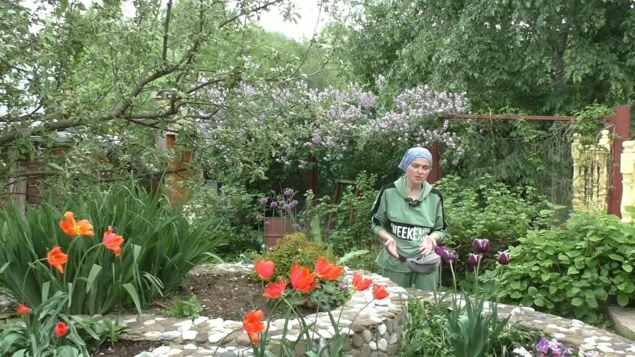 Сад ольги вороновой видео. Лучки-пучки на канале усадьба с ольгой вороновой. Сад ольги вороновой видео. Мой сад воплощение мечты. Сад ольги вороновой видео.