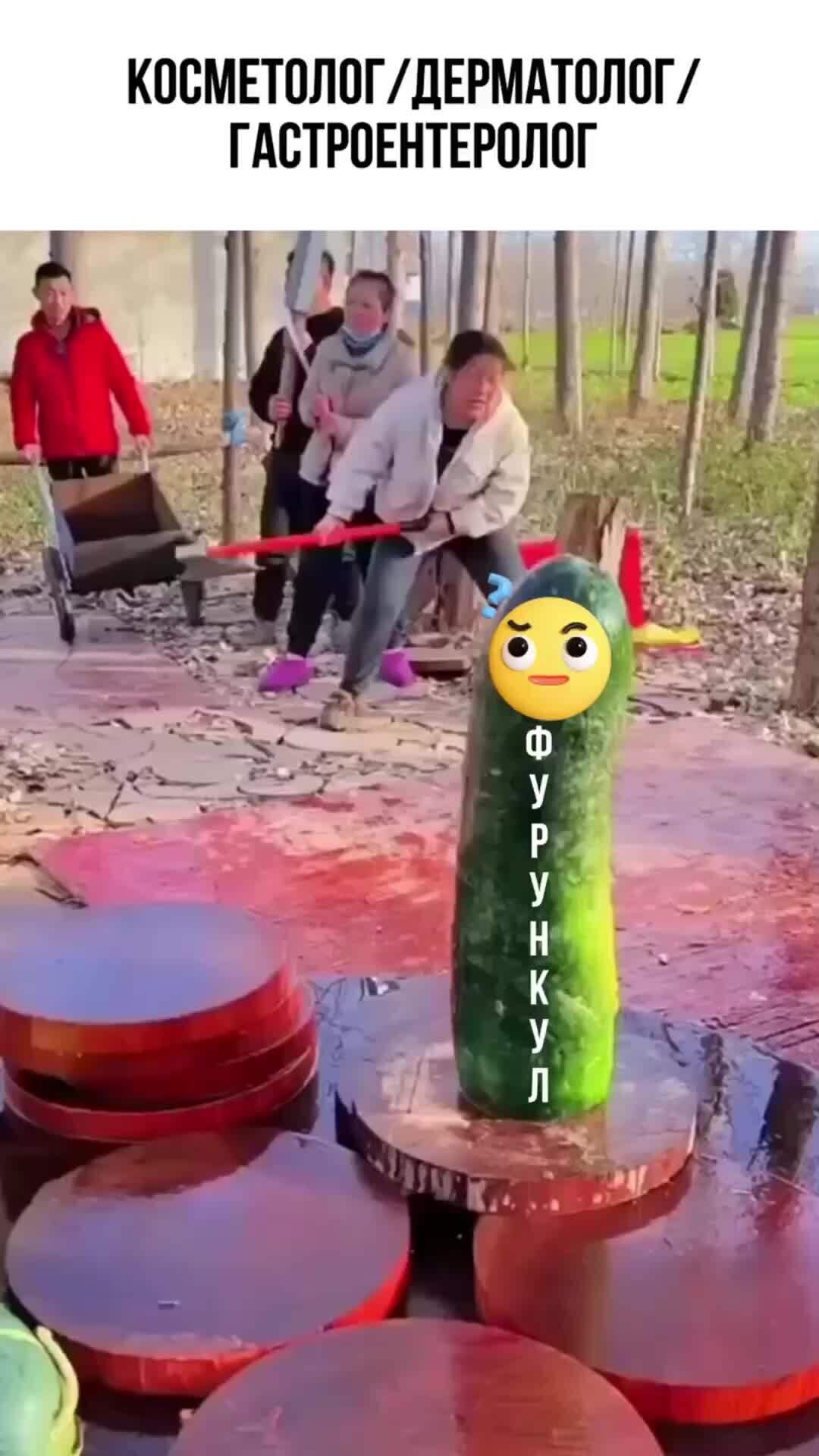 Parolcosmos | Фурункулы, прыщи на голове, на лице, на спине, зуд ...