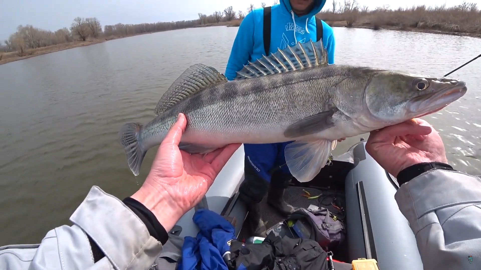 Ликвидация рыболовного магазина. Ловля на джиг скорпену. Клев судака. Судак на волге летом. Рыба в волге нижний новгород.