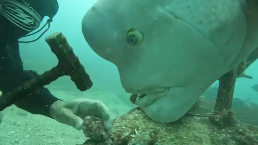 Техники медитации