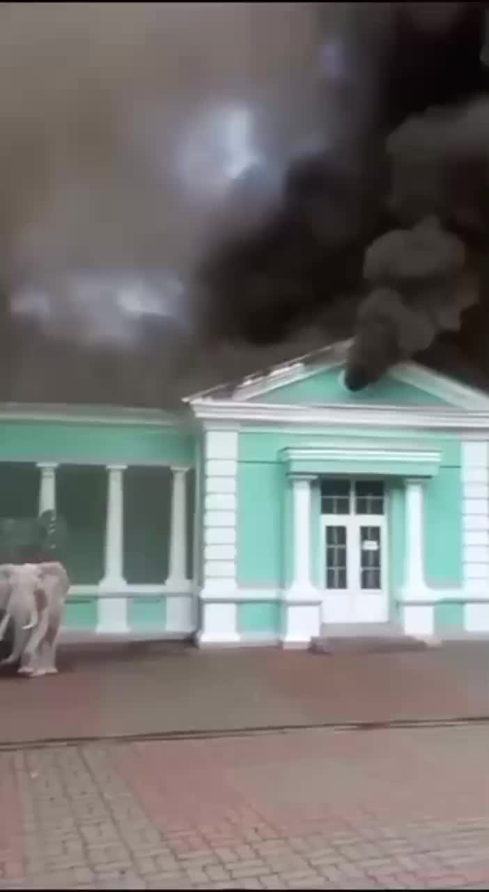 ростовский зоопарк