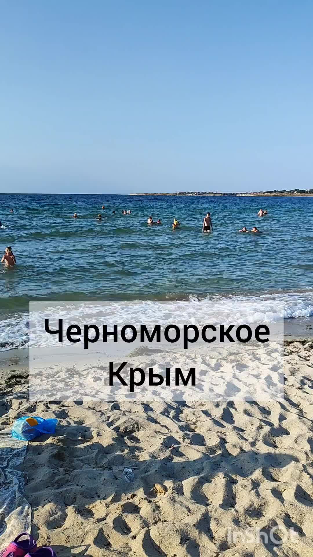 Жизнь в черном море проект