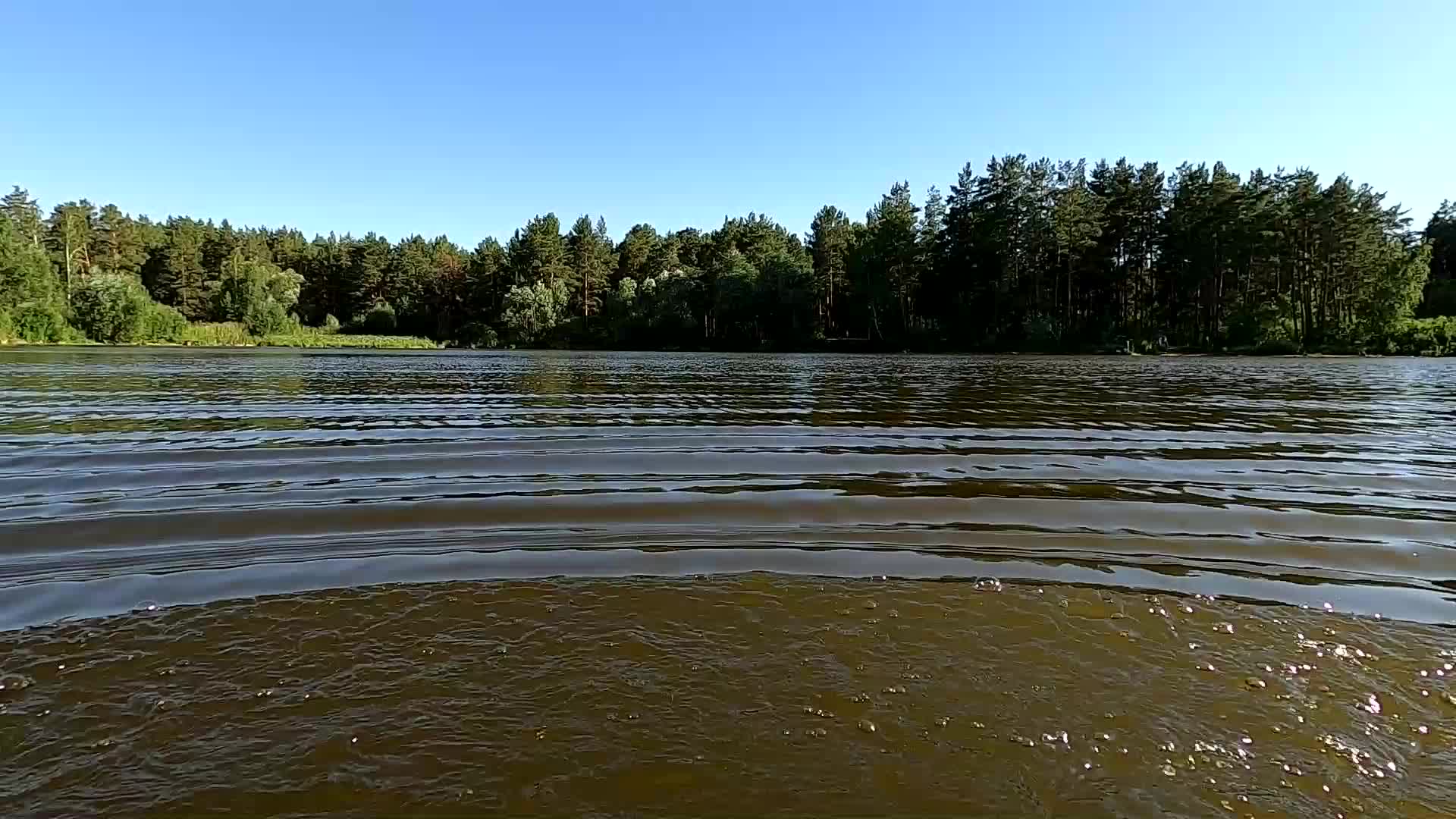 Булгаков в лесных прудах