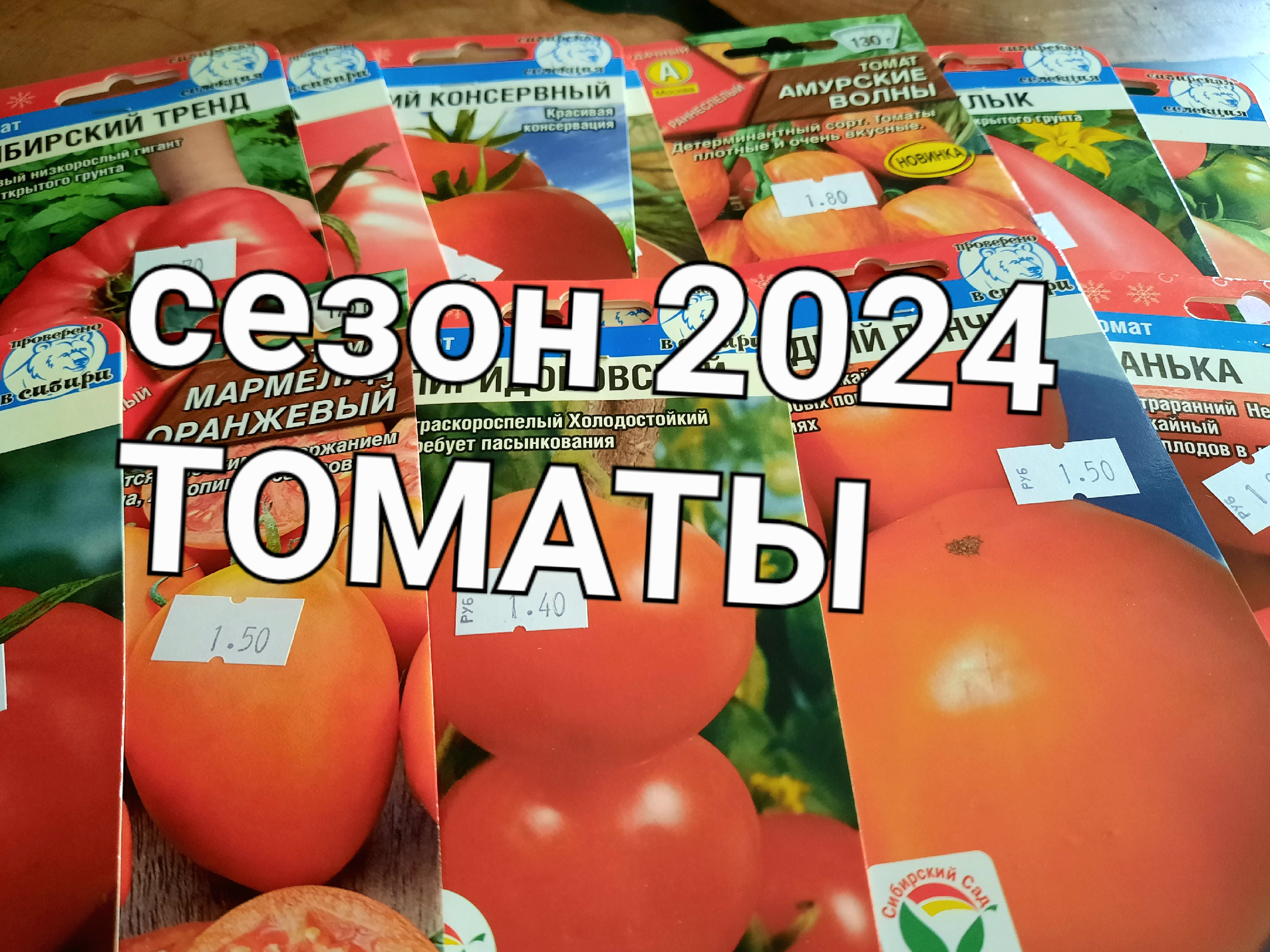 Каталог томатов на 2024 год. Томаты 2024 года. Томат 2024 хит. Живой помидор. Новые сорта томатов на 2024 год.