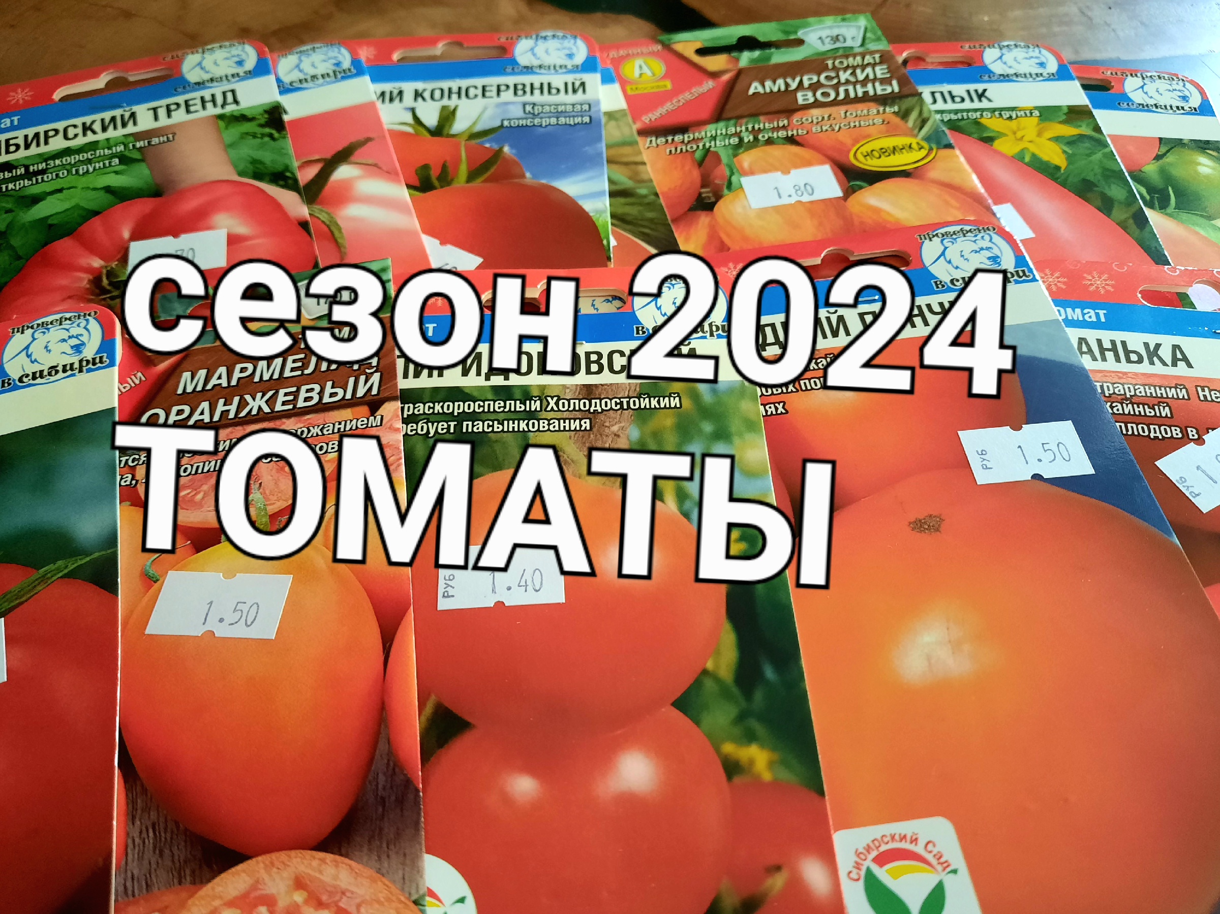 Каталог томатов на 2024 год