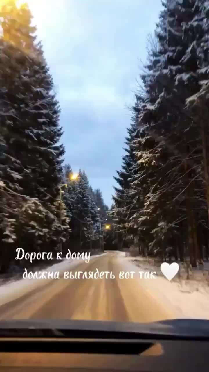 Заметки Ведьмы | Любимый сосновый 🌲серпантин к нашему дому 🏡 Всегда  мечтала, что бы дорога к дому была через хвойный лес✨ Как в сказке  #загородныйдом | Дзен