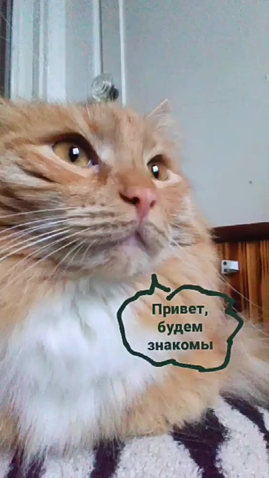 Открытка радуйся жизни. Позитивные мотиваторы на каждый день. Дети радость жизни. И будет нам всем счастье. Счастливая жизнь картинки.