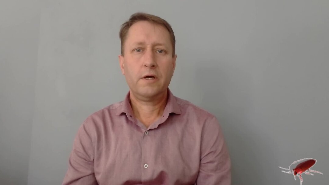 Как избавиться от тараканов за 10 минут Средство от тараканов | свои ...