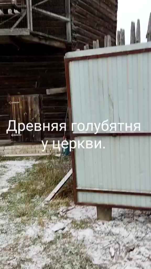 В Туле на ул. Приупской улице сгорела голубятня: видео