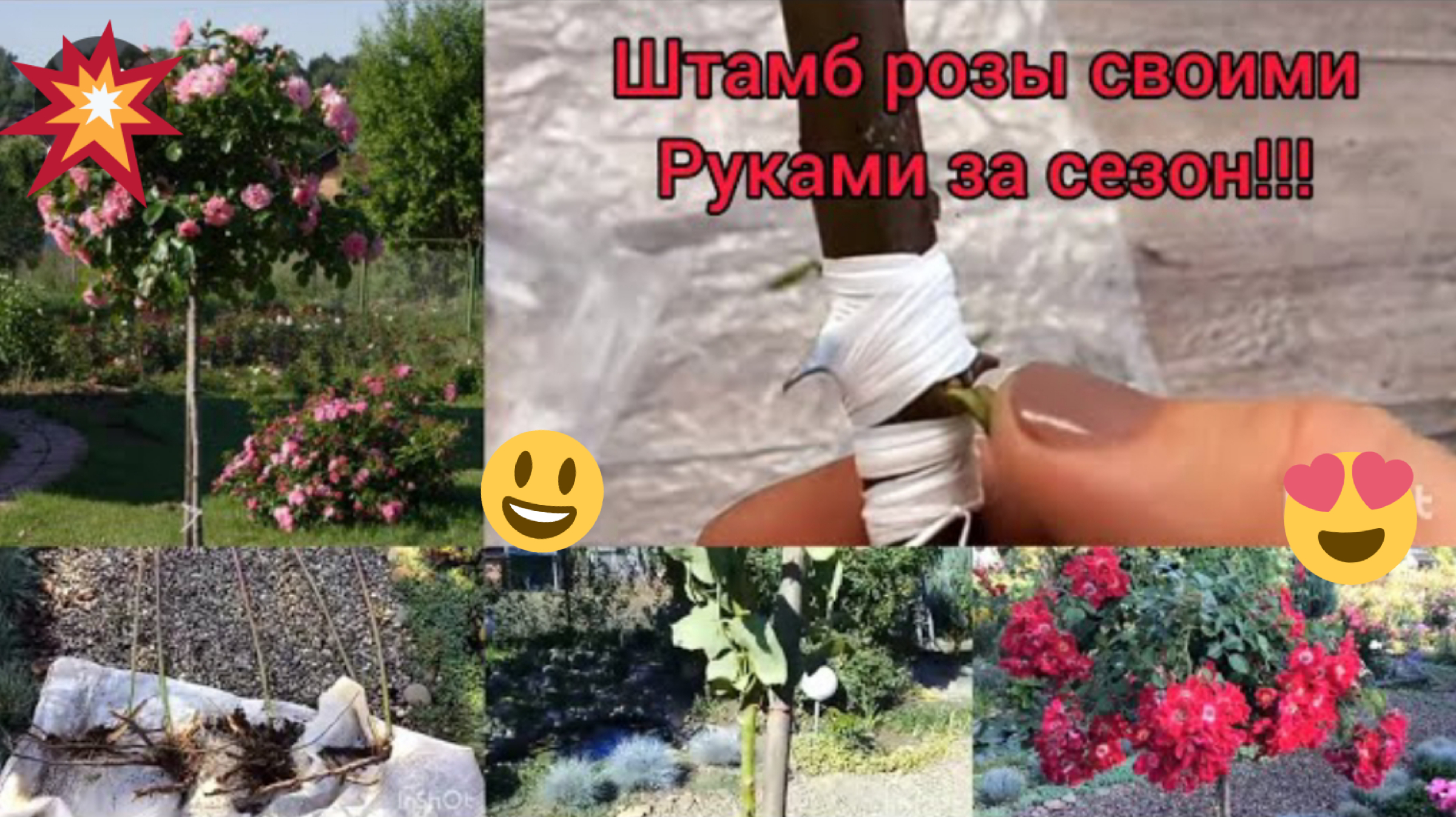 Как сделать розу на штамбе