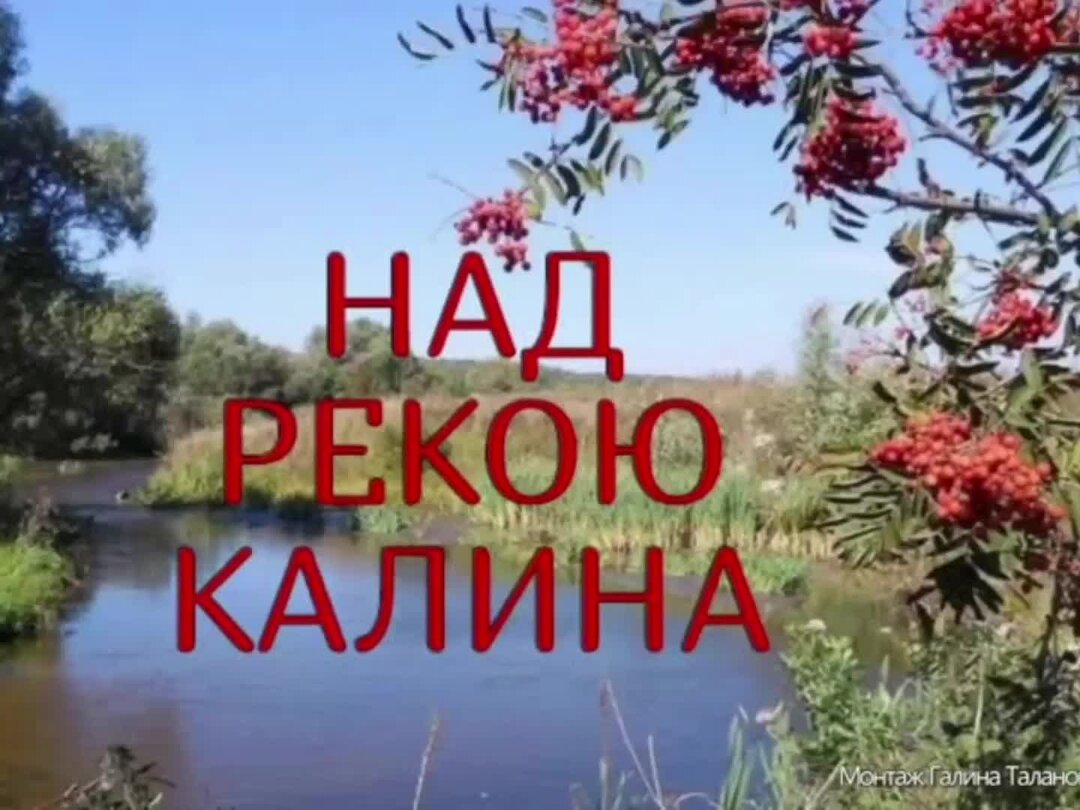 Песня осока над рекой калина. Песня осока над рекой калина. Калина над водою. Калина плачет. Красивые картинки калина над речкой.