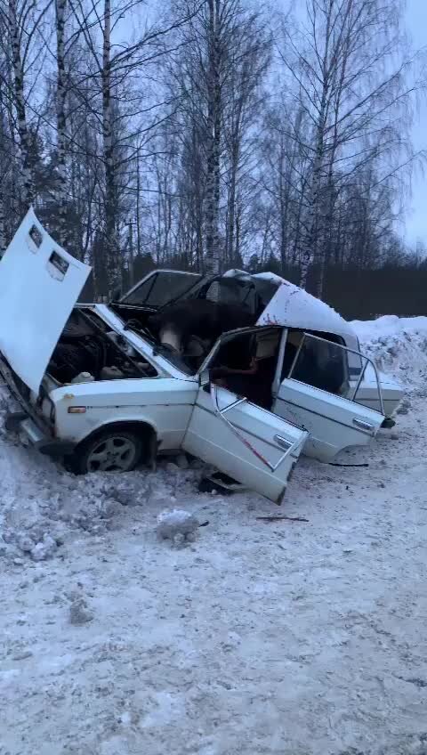 Лось залетел в кабину фуры