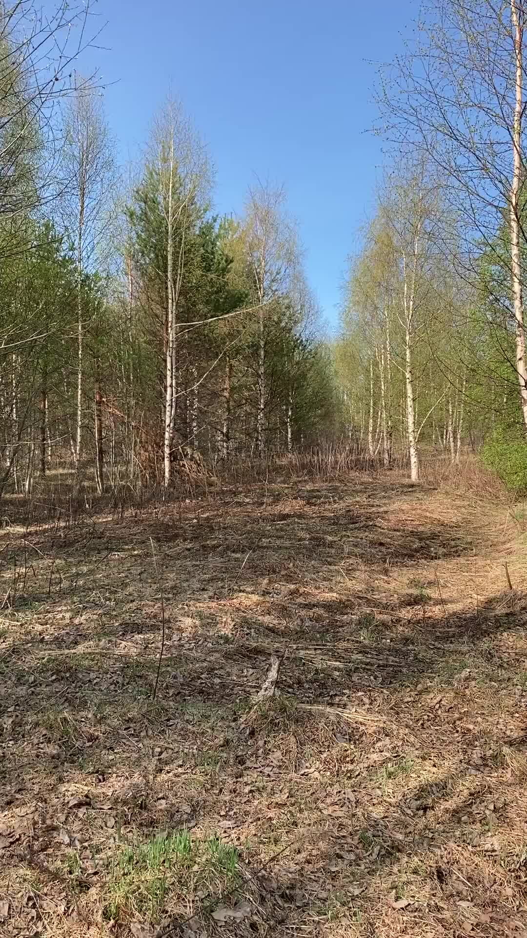 Северный копатель | Огромный, пустой дом. | Дзен