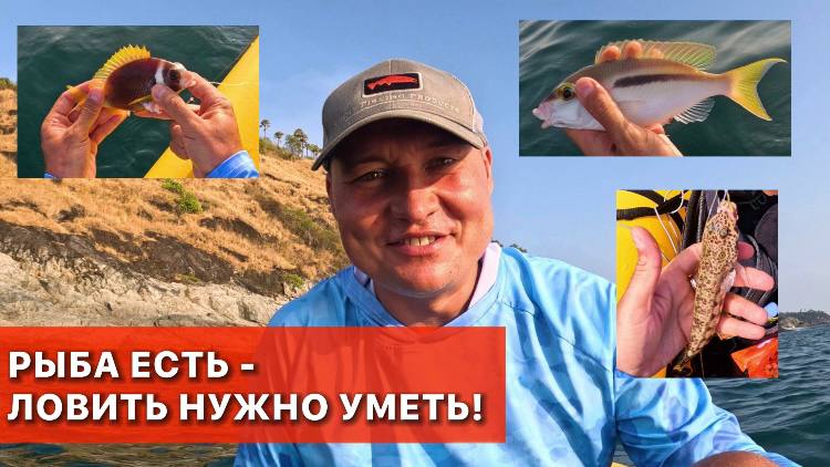 Рыбалка на пхукете 2023. Рыбалка на пхукете 2023. Рыбаки патонга. Пхукет рыба. Морская рыбалка пхукет.