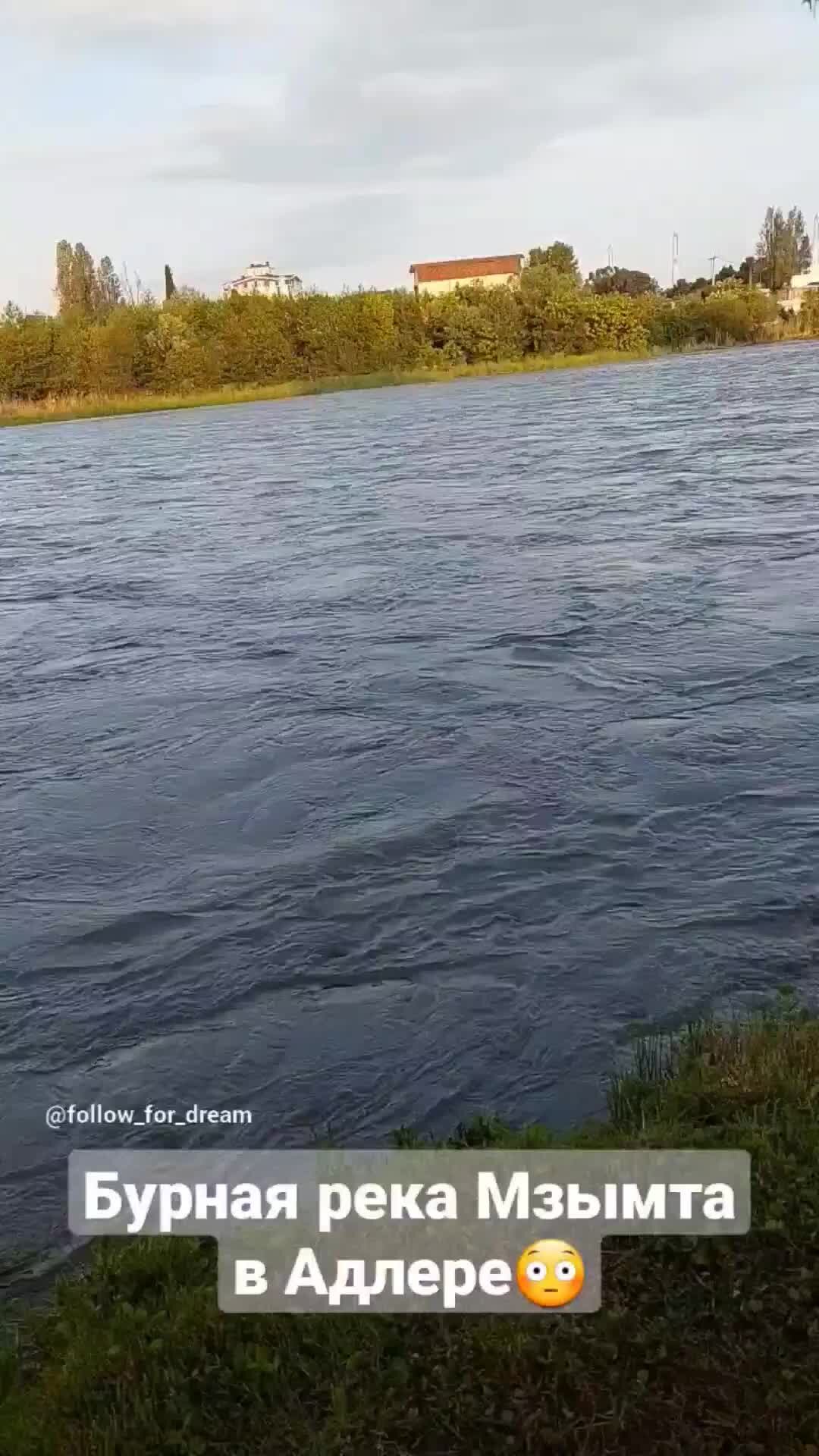 Современное экологическое состояние реки Мзымта