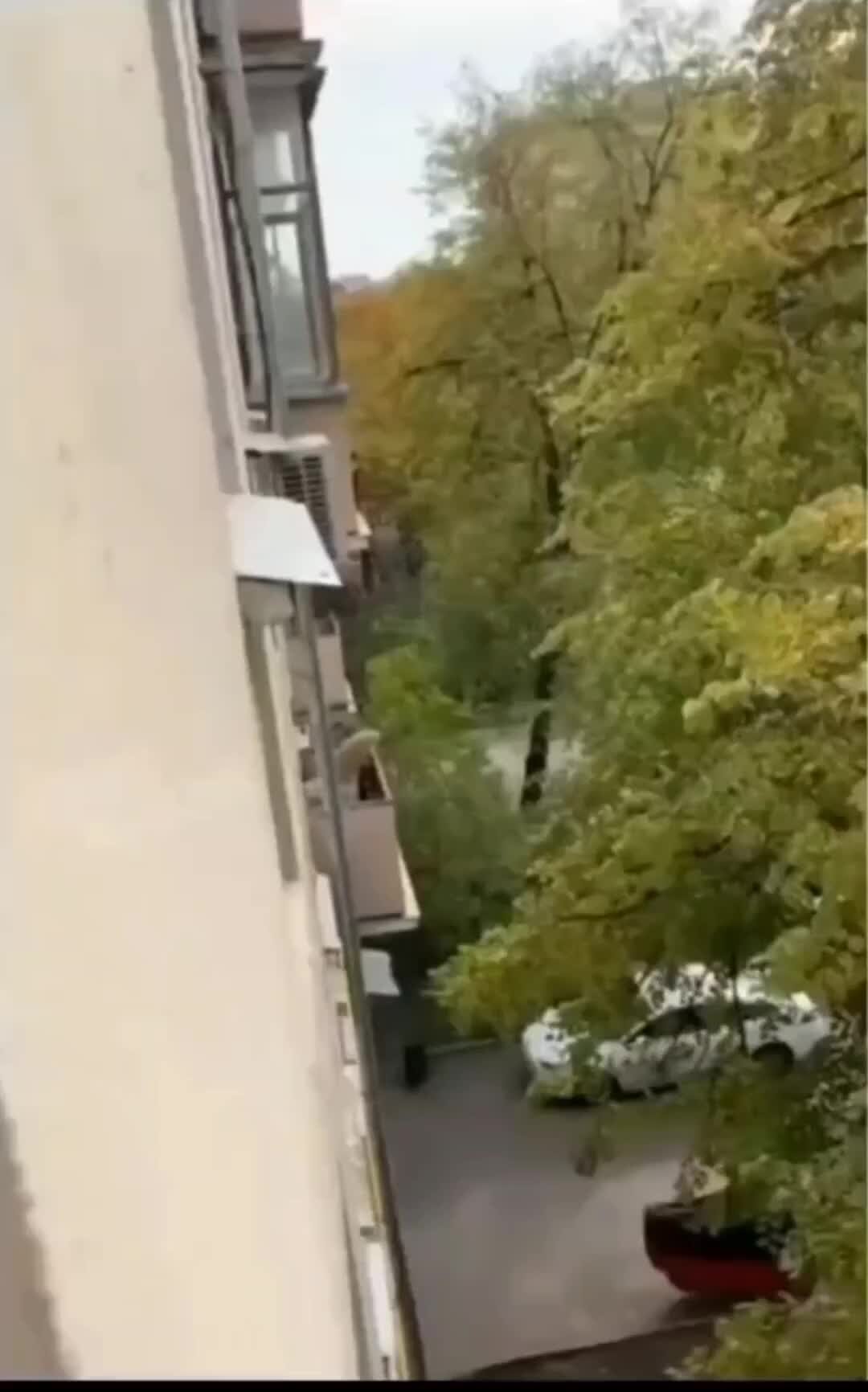 выходить сосед