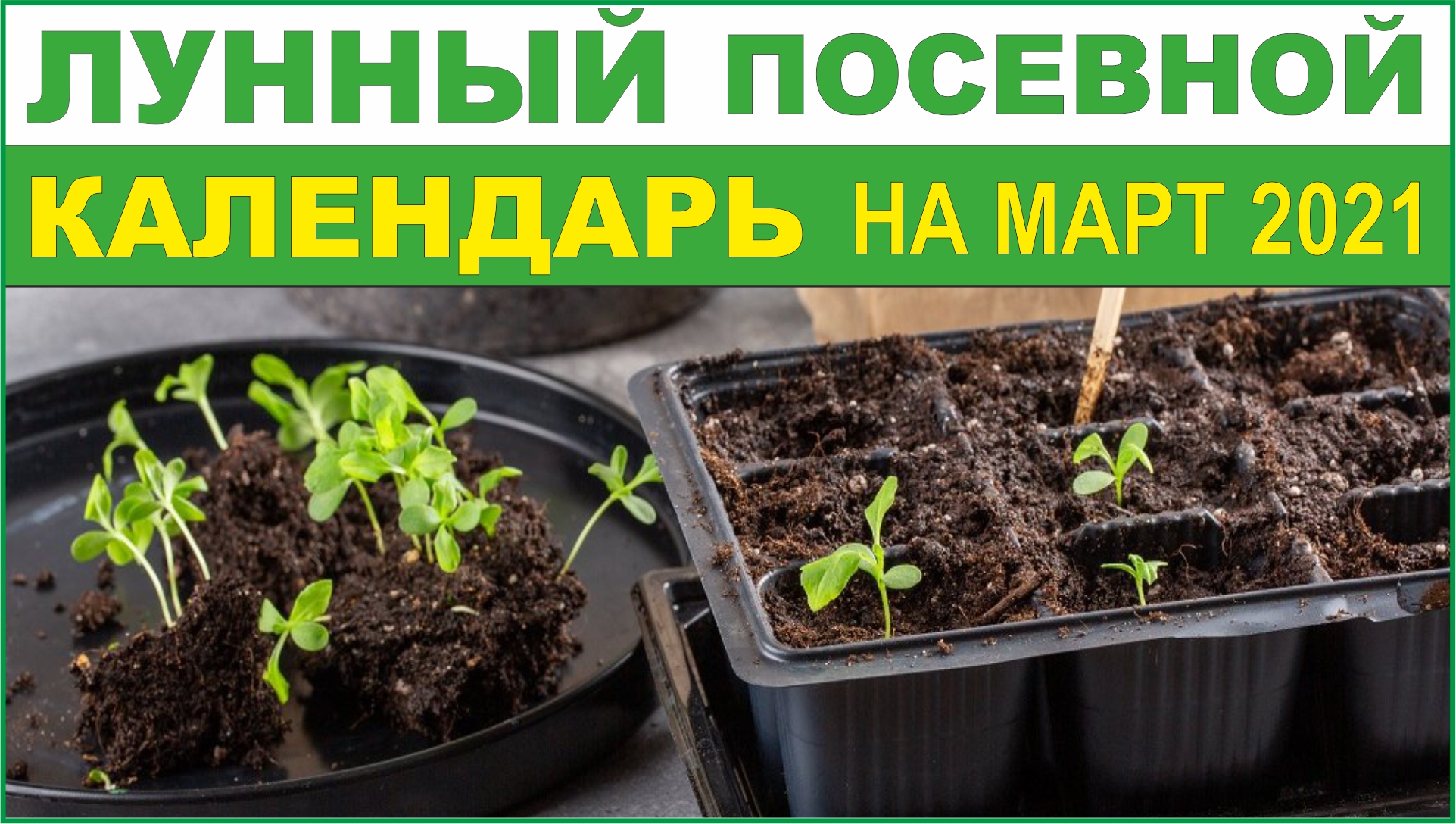 Посевной на март 2024 года. АГРОГОРОСКОП на март для посадки помидор. Посевной календарь на март 2023 года. Лунный календарь на март 2023 года посевной