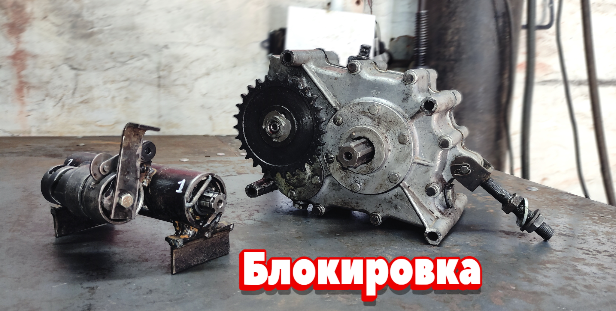 мост от муравья