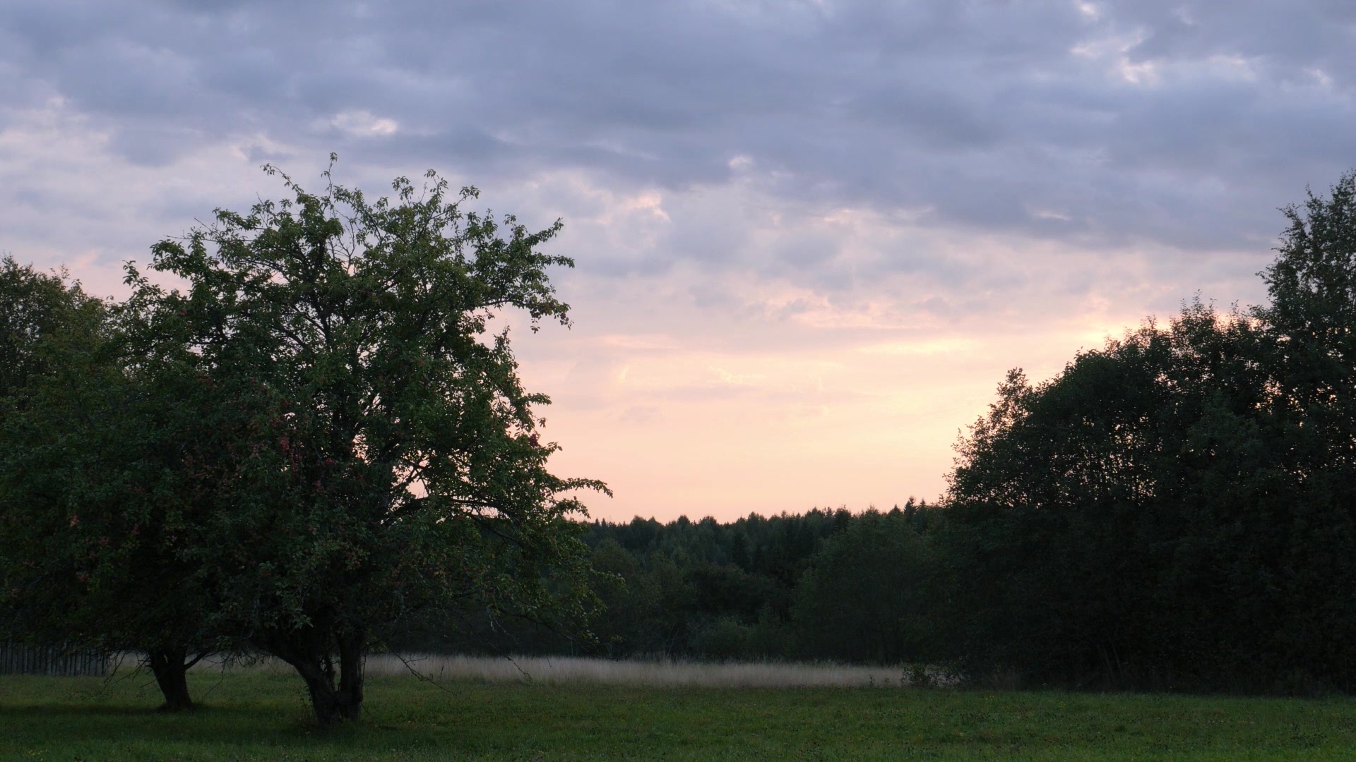 Звуки деревни. Деревня летом. Вечер в деревне. Деревня Гармония. Летний вечер в деревне.