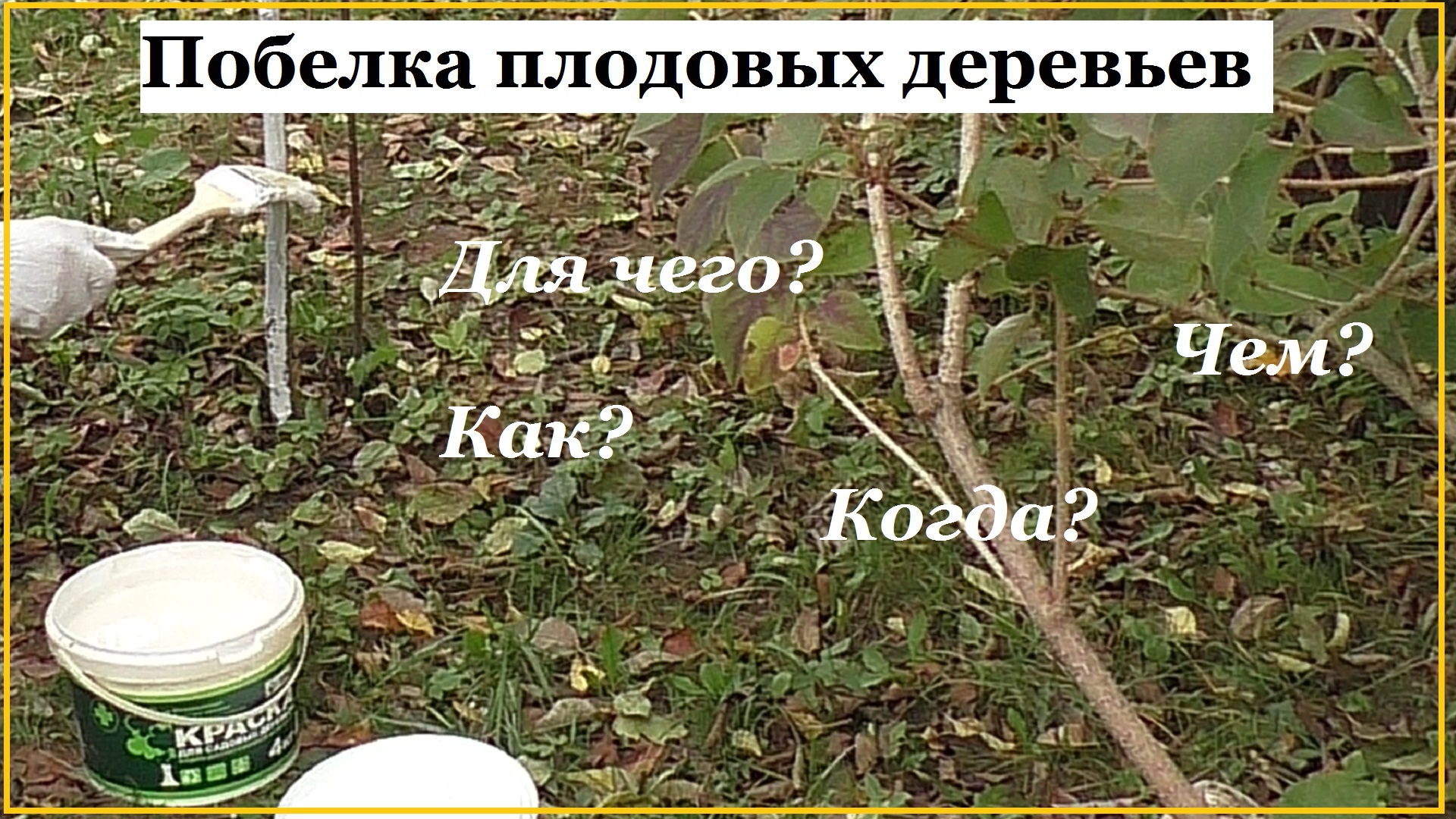 Зачем белят деревья. Зачем белить. Белить деревья. Зачем белят деревья. Зачем белить деревья окружающий мир.
