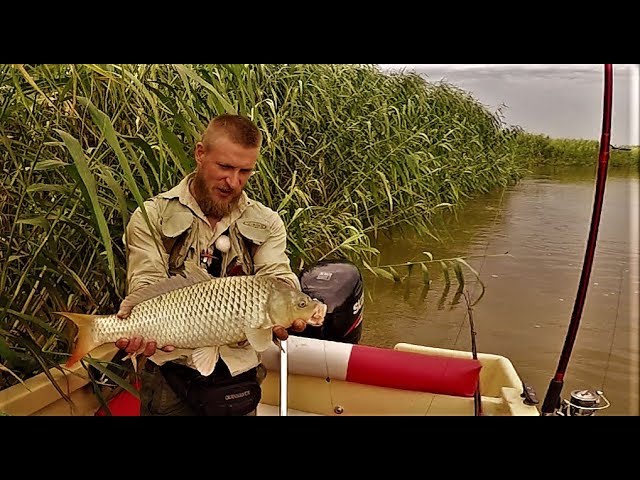 рыбалка с ромарио агро новые. рыбалка с romario agro. рыбалка с romario agro. ромарио агро рыбалка. джиг на язя.