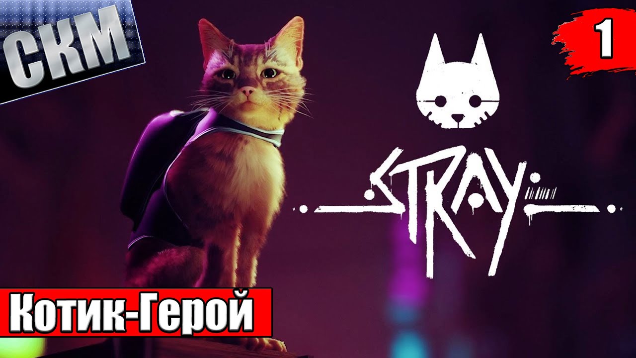 Кастл кэтс персонажи. Cat quest 2 the lupus empire. Кэтнисс из castle cats. Бореал кастл кэтс. Игра кастл кэтс.