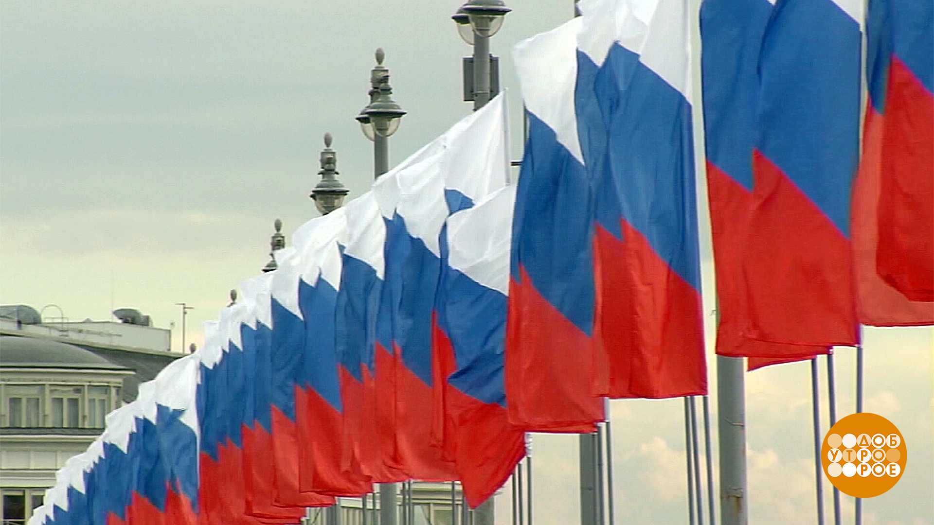День флага. Российский триколор история возникновения флага. День флага. День российского флага отмечается. Российский флаг для открытки на 23 февраля.