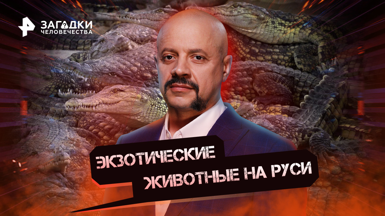загадки человечества с олегом шишкиным 2020. загадки человечества с олегом шишкиным. рен тв с олегом шишкиным. документальные фильмы про загадки человечества. загадки человечества с олегом шишкиным 2022.