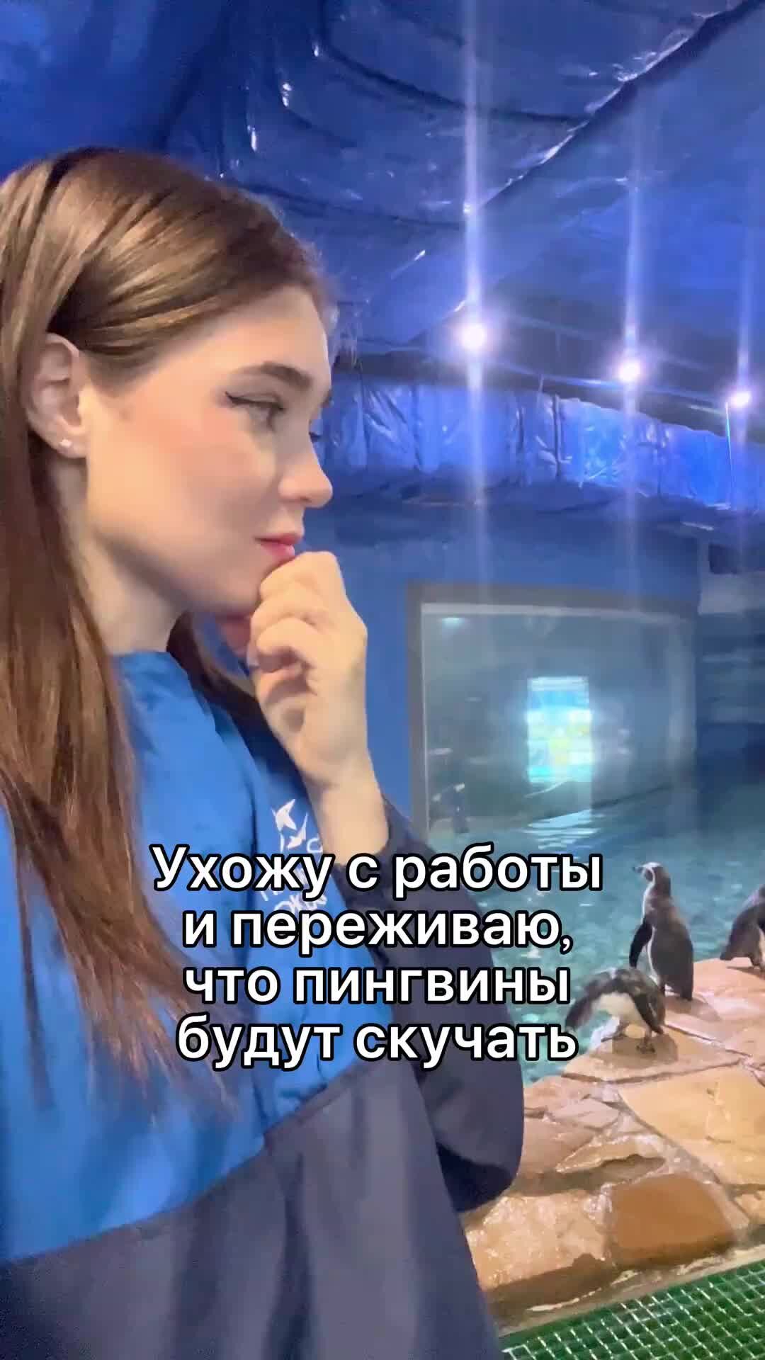 Оля пингвин
