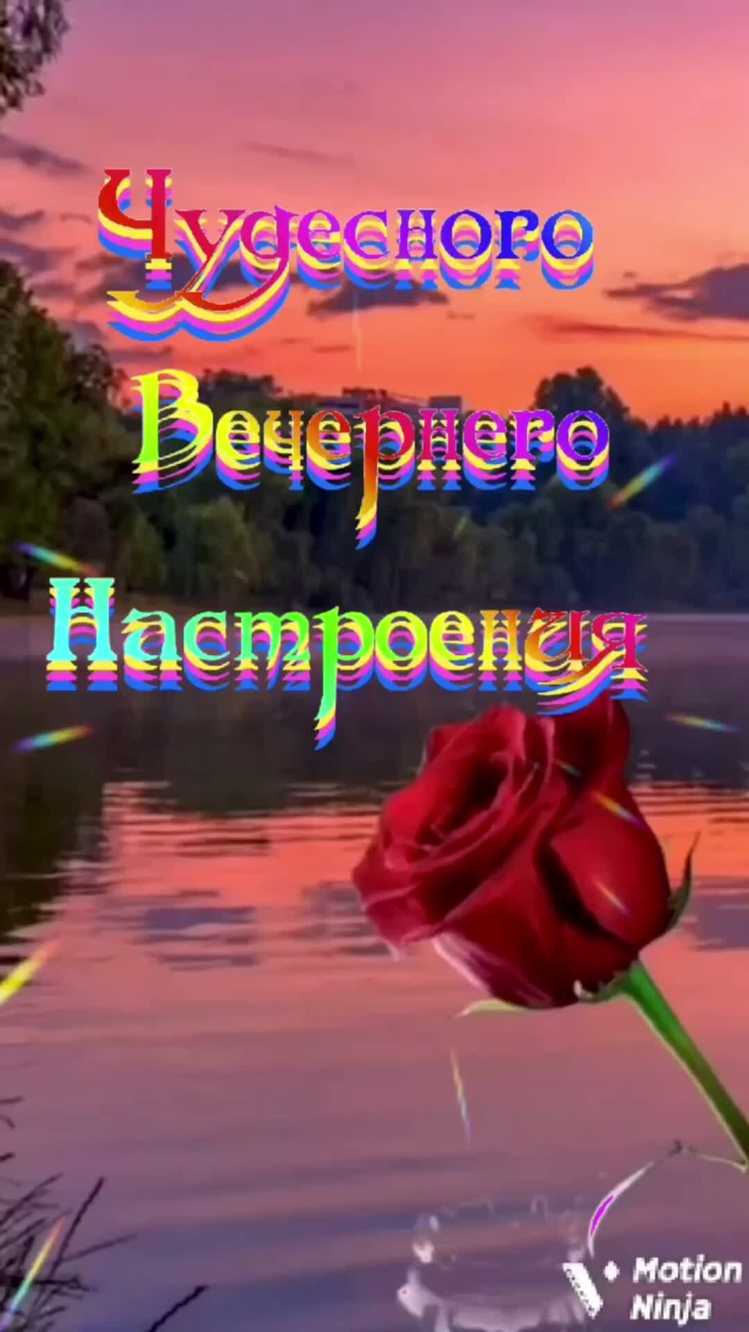 Добрый вечер анимация гиф живые картинки