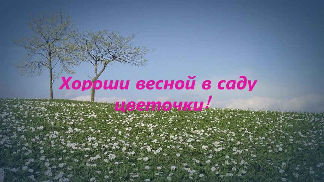 Текст песни хорошо в саду цветочки. Хороши весной в саду цветочки. Хороши весной в саду цветочки текст песни.