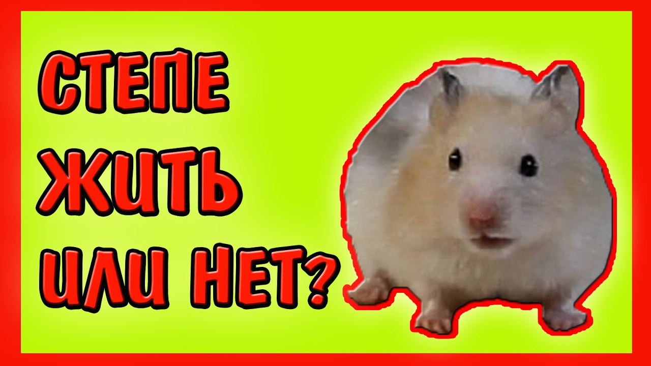 сергей михалков "дядя степа". спектакль дядя степа. михалков дядя стёпа и егор. сергей михалков "дядя степа". дядя степа поэма иллюстрации.