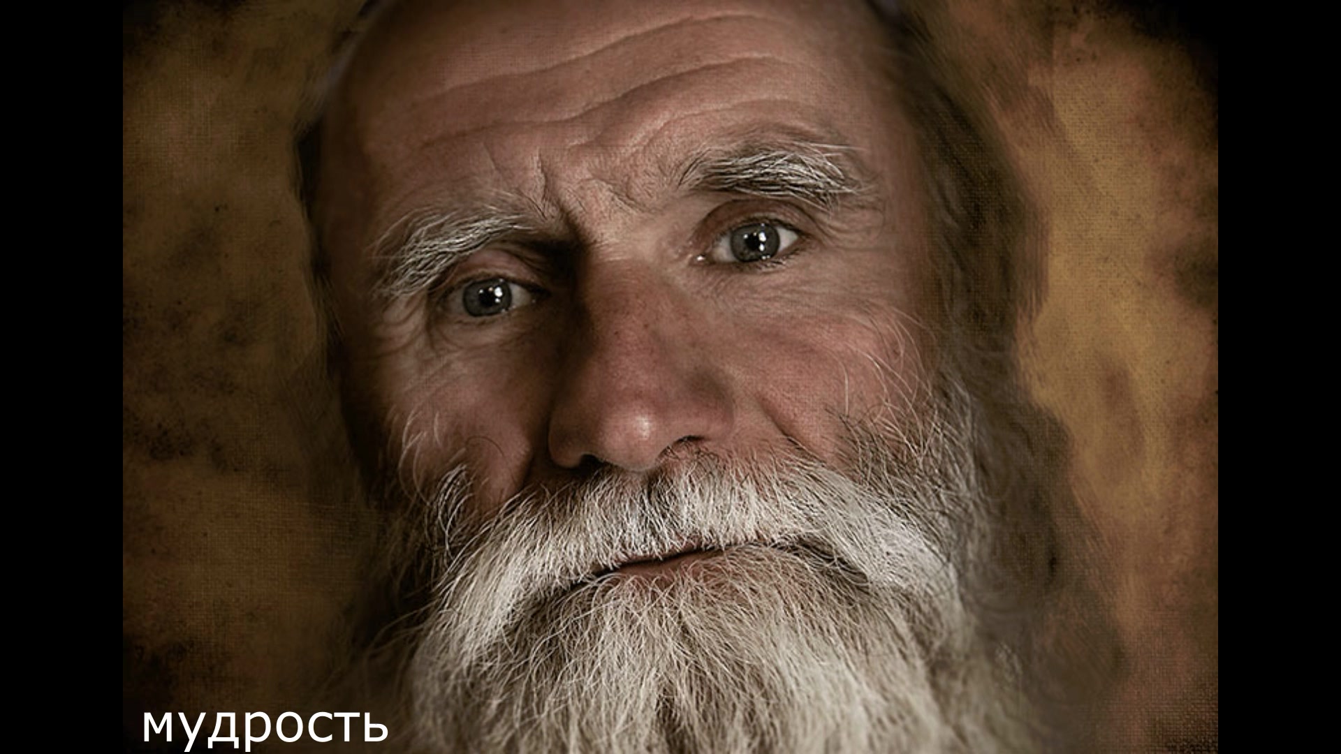 Отвечает старец. Афонские монахи. Старец со спины. Оптина пустынь илий ноздрин. Монах гедеон ( мохнарев).