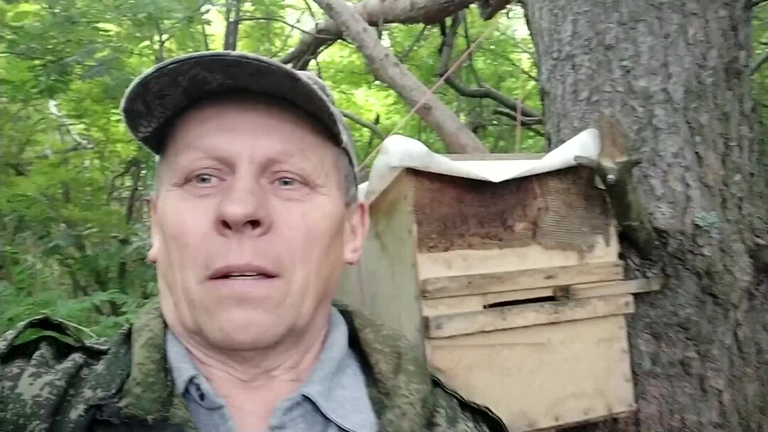 Пасека владимира рябухина