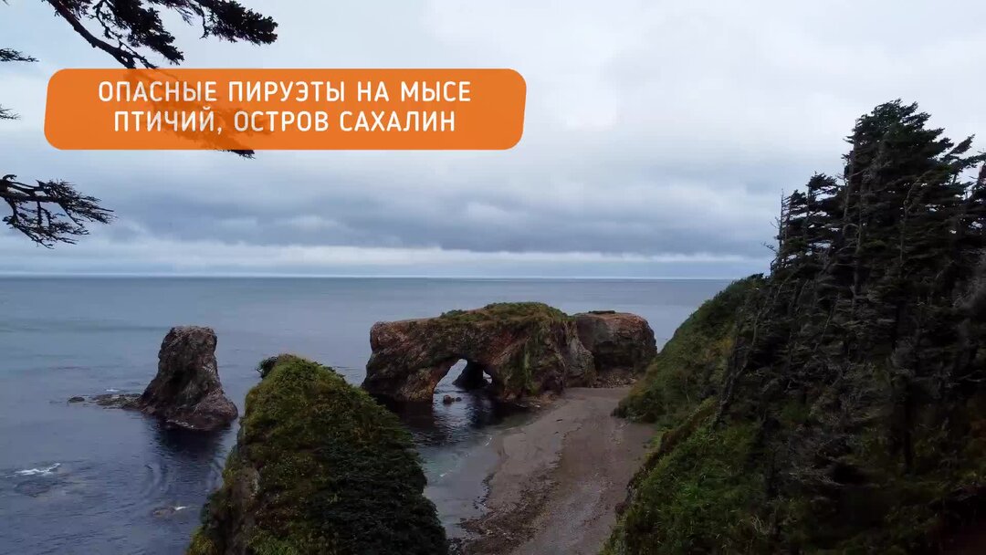 Лесной изготовительный пункт Скалистый на острове Сахалина