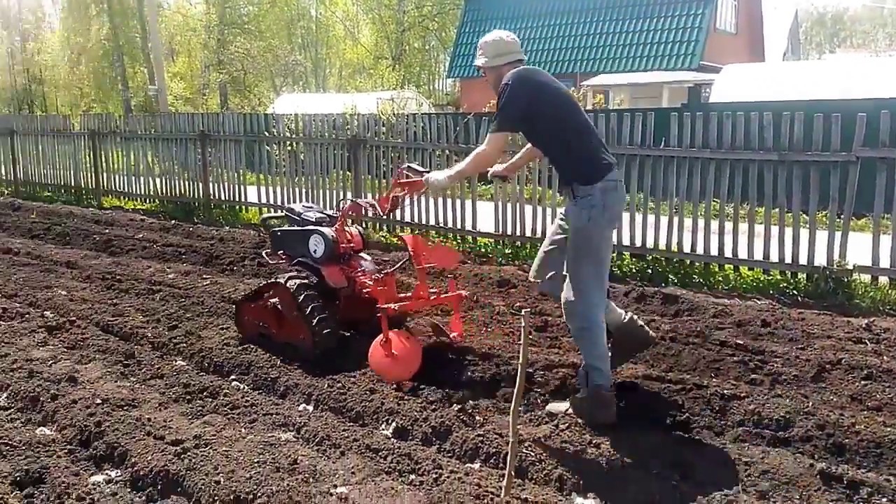 Сажаем под мотоблок. Окучивание картофеля мотоблоком агат.