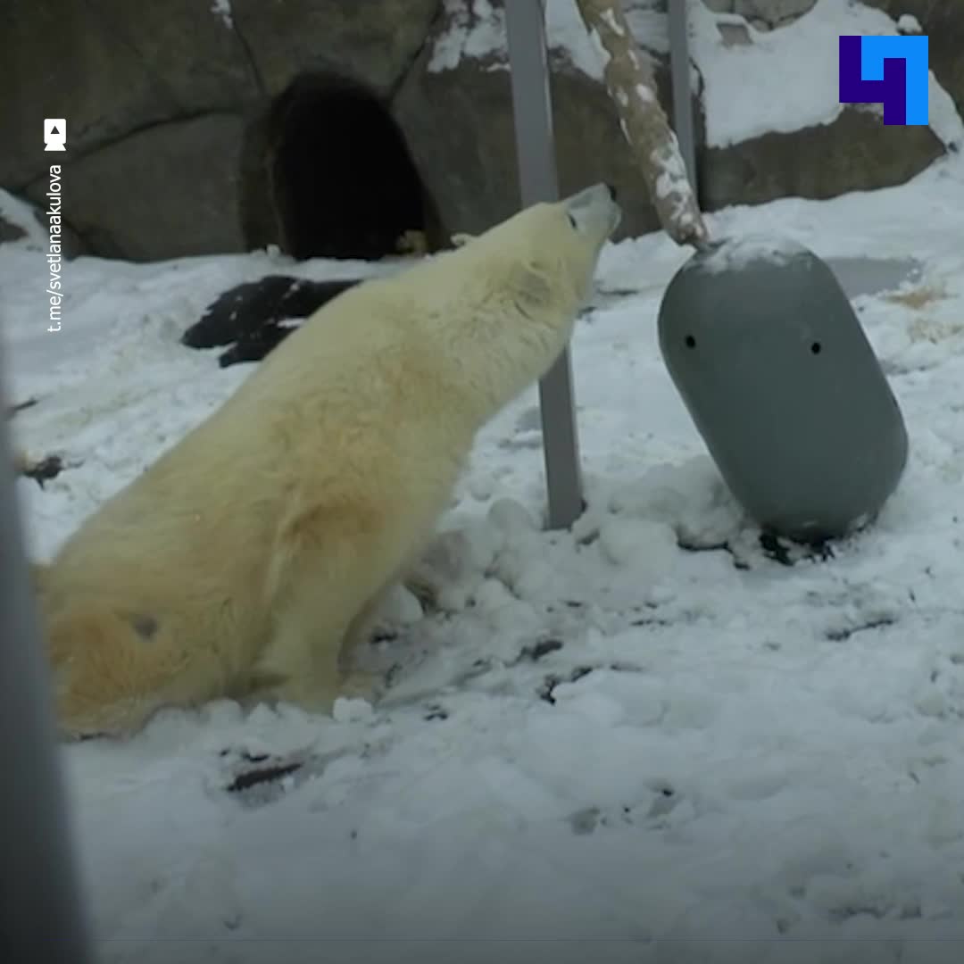 Использование необычного оружия