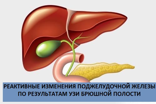 Признаки реактивных изменений печени