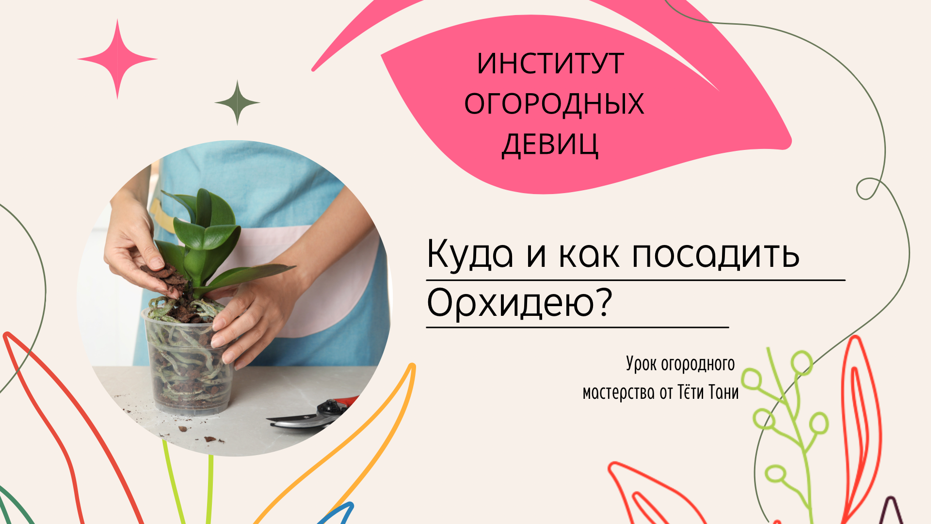 институт огородных девиц про капусту. как отличить ремонтантную малину от обычной по внешнему виду. институт огородных тетя таня дзен. институт огородный девиц тетя таня капуста. институт огородных тетя таня дзен.