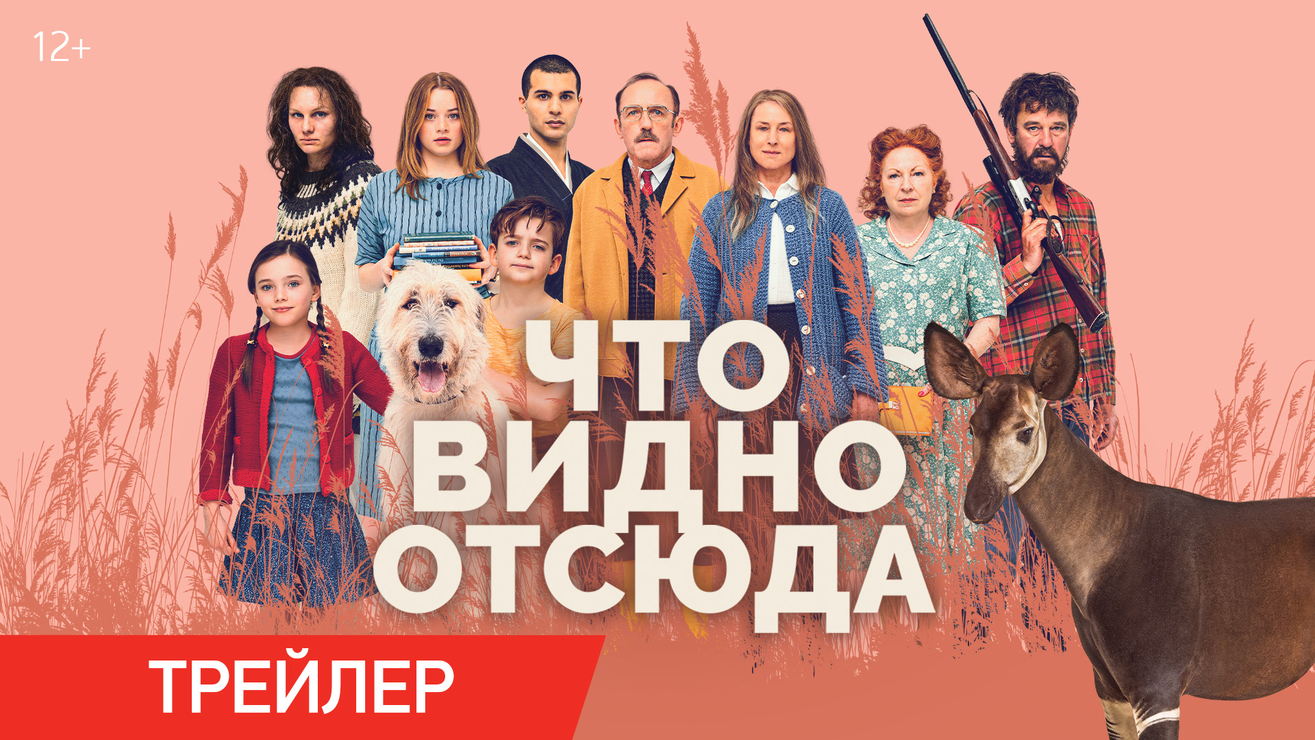 эцио аудиторе да фиренце без капюшона. добро пожаловать отсюда мем. отсюда видишь. отсель не видать картинки. добропожаловатт отсюда.