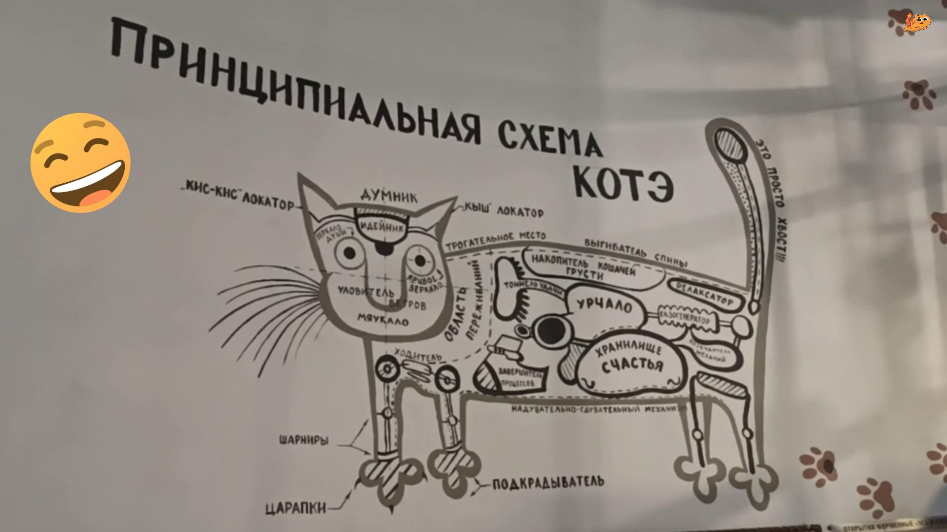 Принципиальная схема кота, смешная табличка из железа постер на стену мотиватор,