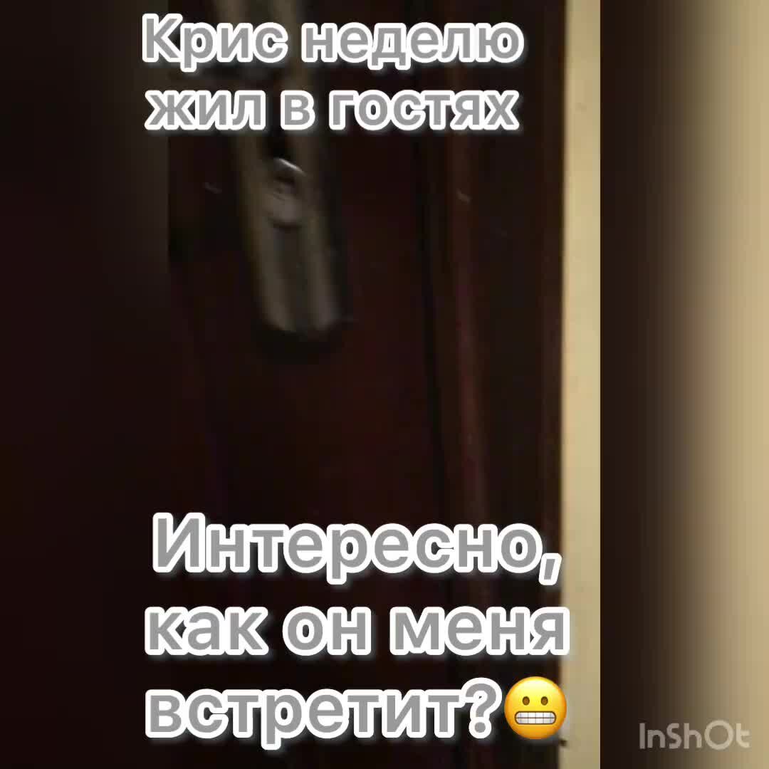 Как встретил меня мой пёс. Оставила его на целую неделю, обидится или ...