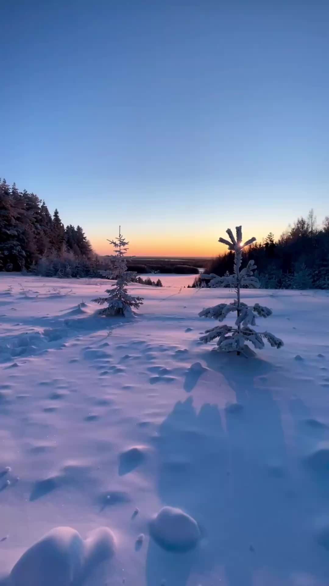 Картинки самое красивое утро ( фото) 🔥 Прикольные картинки и юмор