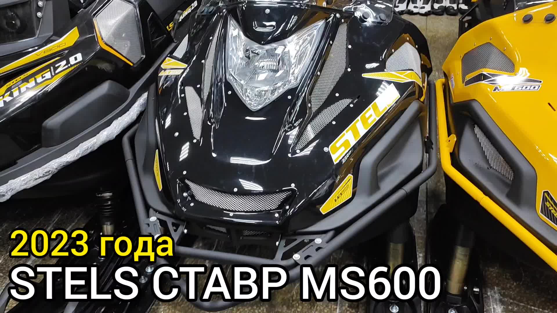 Снегоход стелс Ставр 600