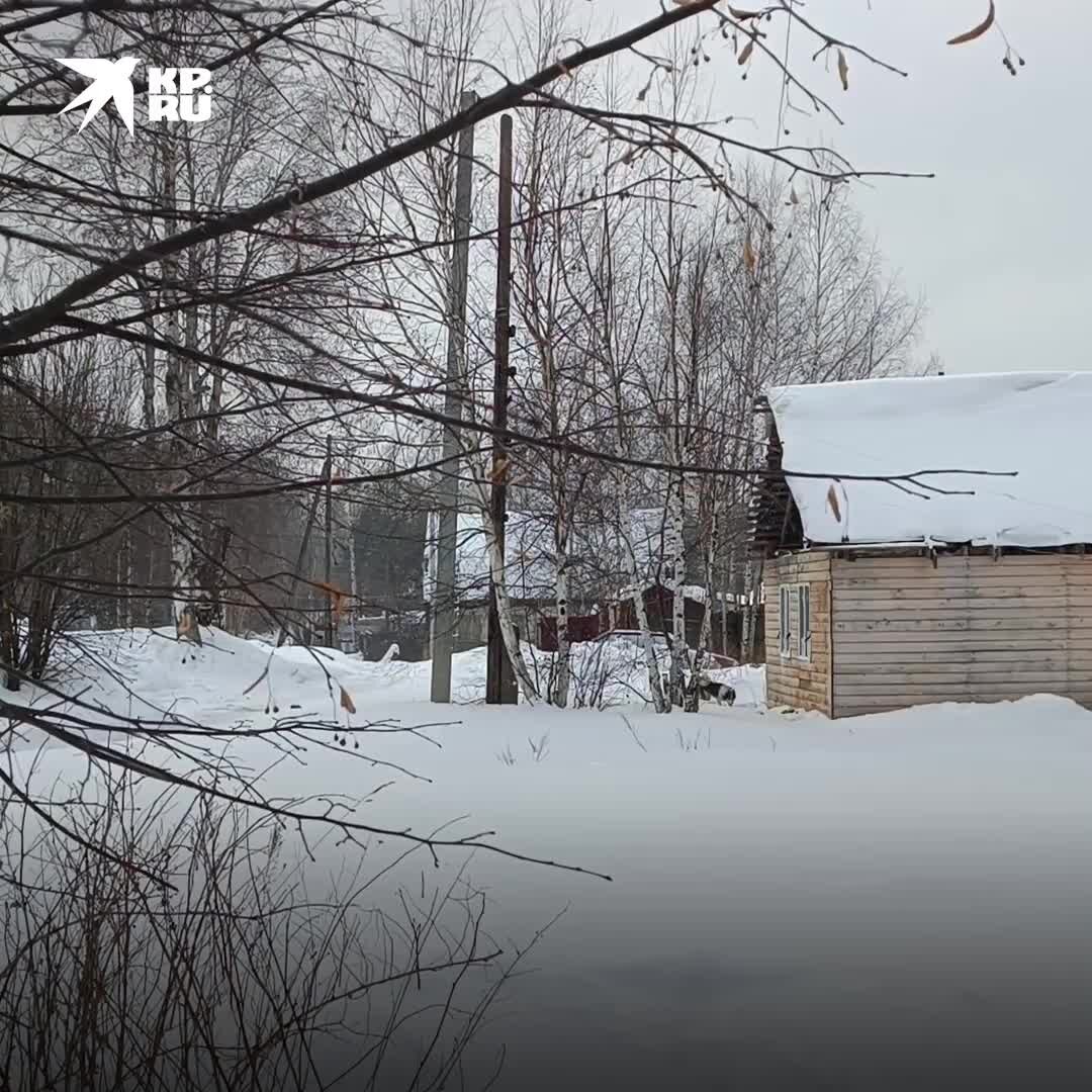 Многодетные пермского края 2024. СНТ Бабкина дача 2. Московская сотка. Дача Лукьяново Вологда.