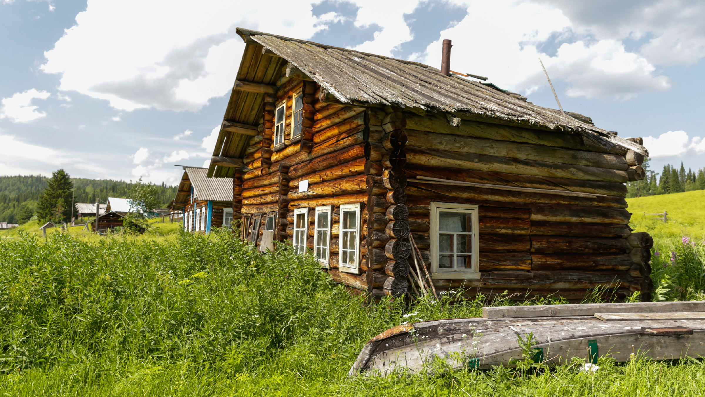 Здесь была тайга